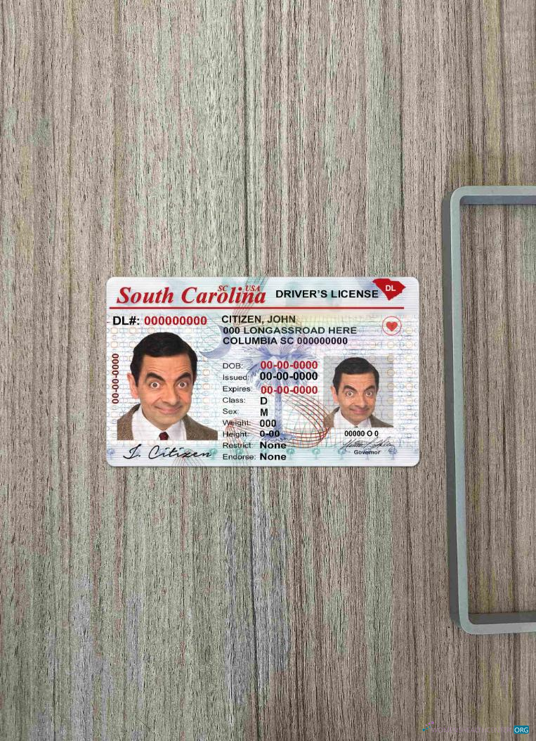 Download USA South Carolina DL photolook FRONT Photoshop template